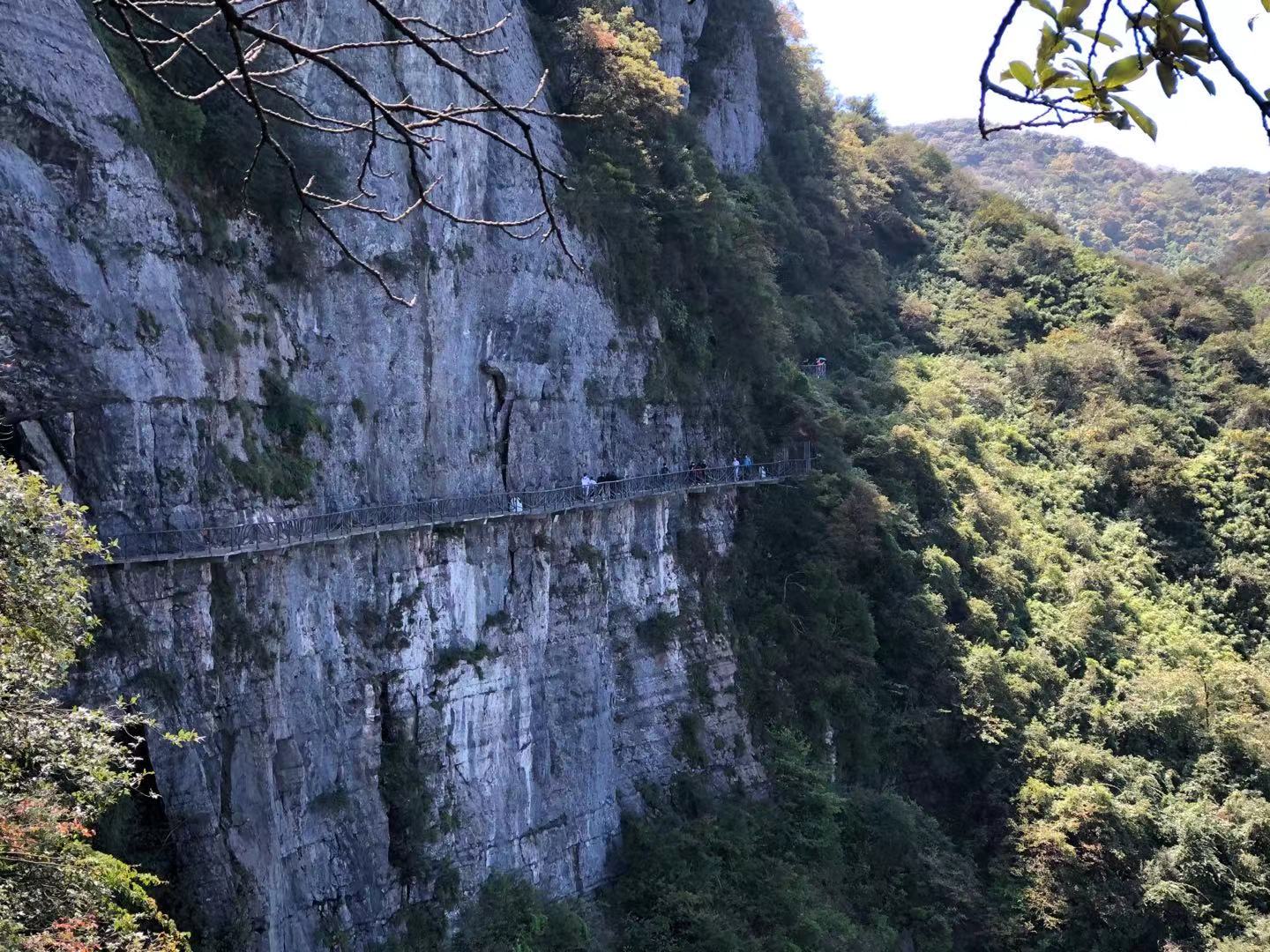 0927 金佛山4.jpg 0927 金佛山4.jpg