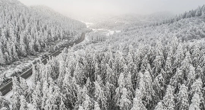 滑雪8仙女山5.png 滑雪8仙女山5.png