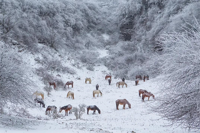 滑雪5仙女山2.png 滑雪5仙女山2.png