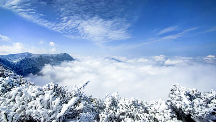 滑雪12金佛山4.png 滑雪12金佛山4.png
