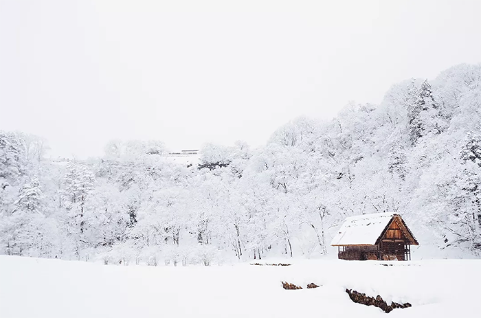 滑雪24奉节4.png 滑雪24奉节4.png