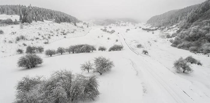 滑雪3仙女山.png 滑雪3仙女山.png